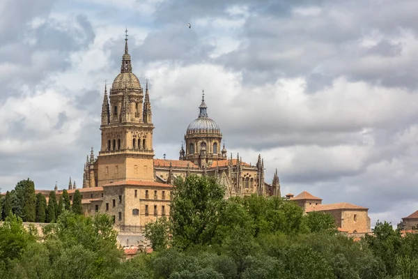 Salamanca Espanha 2021 Vista Majestosa Edifício Gótico Cúpula Torre Catedral — Fotografia de Stock