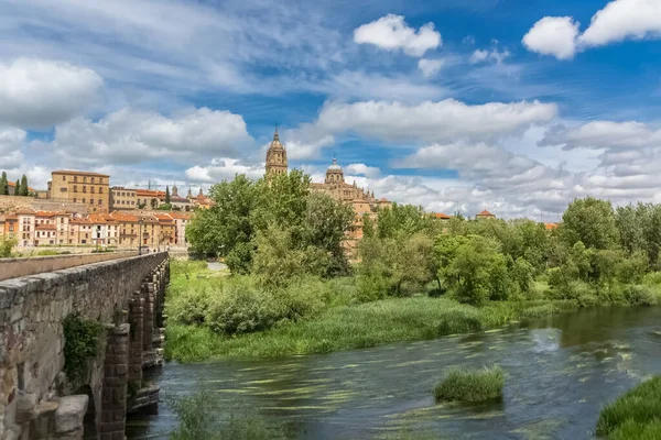 Salamanca / İspanya - 05: 12 2021: Salamanca Katedrali kubbesi ve Salamanca Üniversitesi kubbesi kubbesi, çevresindeki bitki örtüsü, Roma köprüsü ve Tormes nehri çevresindeki muhteşem manzara