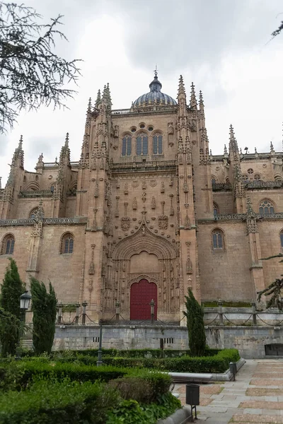 萨拉曼卡 西班牙 2021年12月5日 萨拉曼卡大教堂的哥特式装饰品立面 主立面和塔顶的壮观细节景观 — 图库照片