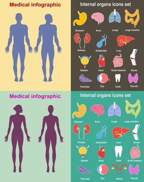 Infographie médicale. Ensemble de présentation . — Image vectorielle