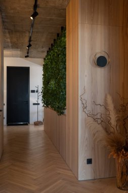 Bu şık koridorda çarpıcı yeşil bir duvar, güzel ahşap aksanlar ve modern ışıklandırma sergileniyor.