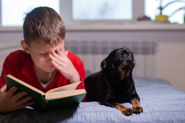 犬を連れた少年は本を読む — ストック写真