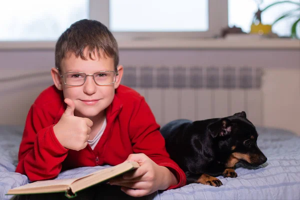犬を連れた少年は本を読む — ストック写真