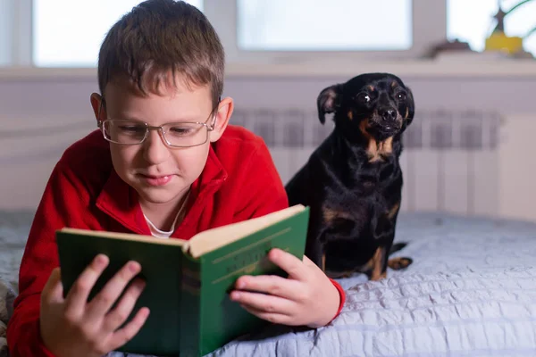 犬を連れた少年は本を読む — ストック写真