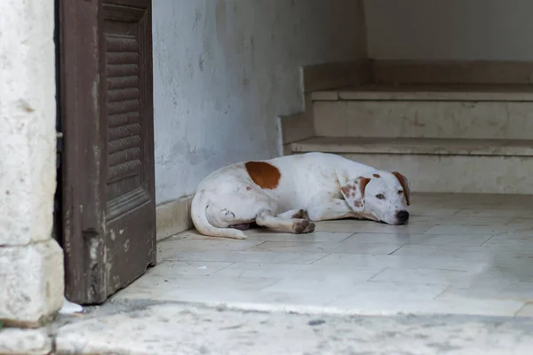 Taştan yol arkaplanı