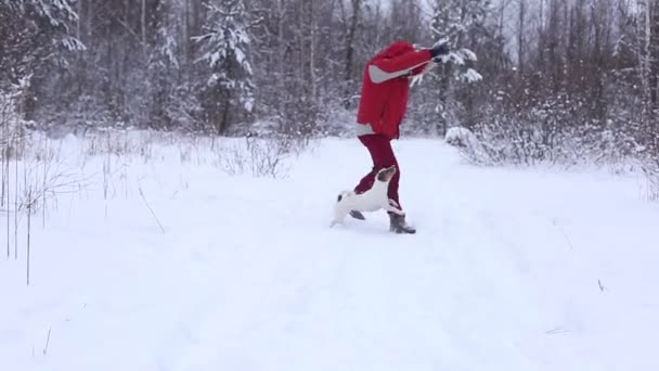 Άνθρωπος Παίζει Ένα Σκύλο Χειμώνα Στο Δάσος — Αρχείο Βίντεο
