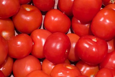 Dükkandaki kırmızı domatesler, yakın plan.