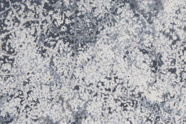 Gri Mermer Desenli İç Tasarım Arkaplanı.