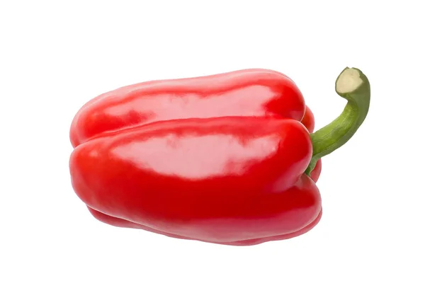 Röd Paprika Över Vit Bakgrund — Stockfoto