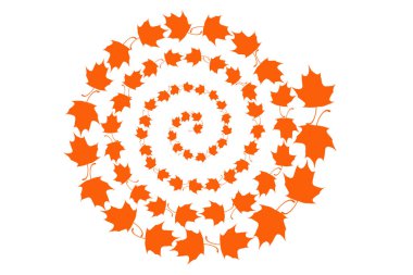 Sonbahar akçaağaç yaprakları düşer ve döner..