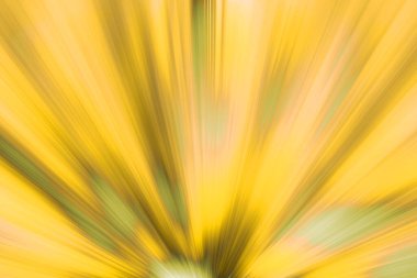 Düzgün çizgileri olan zarif soyut sonbahar arkaplanı.