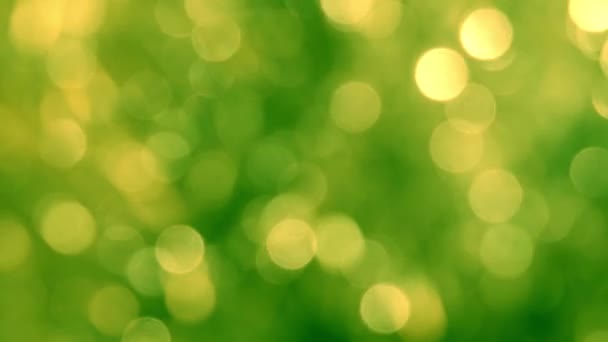 Sfondo Astratto Verde Luci Sfocate Con Effetto Bokeh — Video Stock