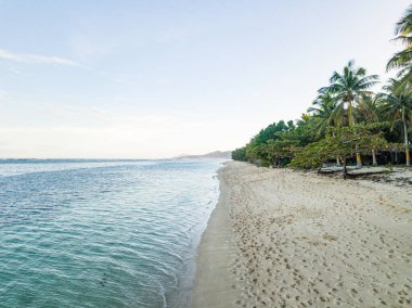 Kumsalda mavi deniz ve ağaçlar