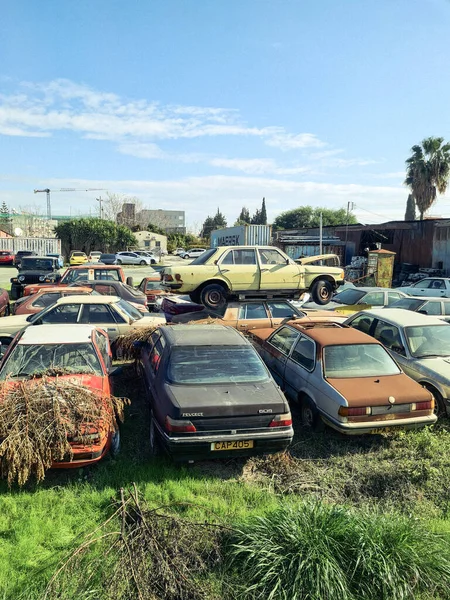 Παλιά Αυτοκίνητα Στην Μάντρα Σκουπιδιών Αυτοκινήτων — Φωτογραφία Αρχείου