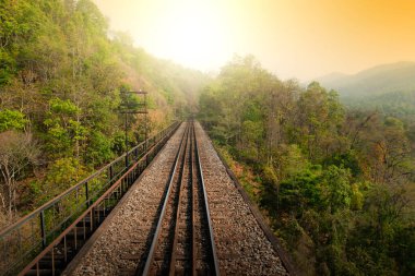 Orman ve dağlarla çevrili eski bir çelik köprüyü geçen boş bir demiryolu. Demiryoluna odaklan..