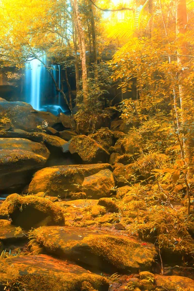 Cachoeira Outono Uma Floresta Colorida Folhas Cores Brilhantes Estação Específica — Fotografia de Stock