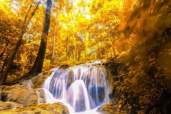 Landschaft Herbst Wasserfall Einem Bunten Wald Leuchtende Farben Blätter Der — Stockfoto