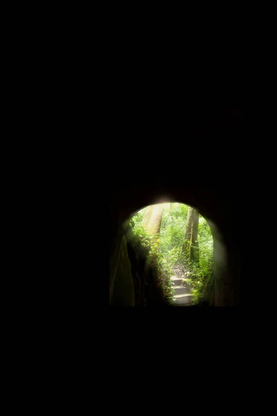 Gruta Mística Túnel Até Uma Floresta Profunda Nascer Sol Brilha — Fotografia de Stock