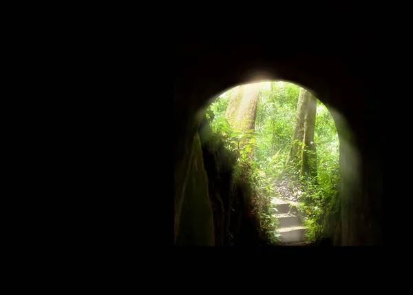 Gruta Mística Túnel Até Uma Floresta Profunda Nascer Sol Brilha — Fotografia de Stock
