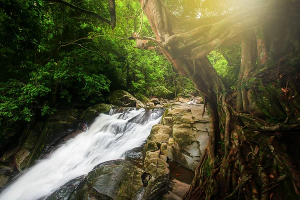 Reiner Wasserfall Einem Tropischen Regenwald Der Sonnenaufgang Scheint Durch Äste — Stockfoto