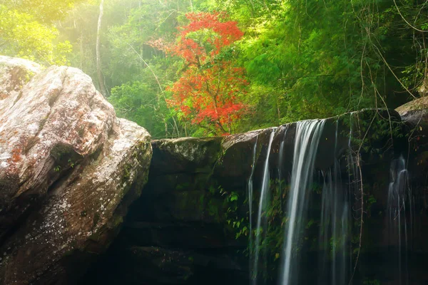 背景には秋の滝と赤いカエデの木がぼやけている 長時間露光 滝のソフトフォーカス — ストック写真