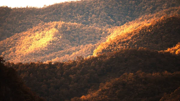Пейзаж Гірського Лісу Взимку Сонячний Промінь Світить Барвистий Ліс Вранці — стокове фото