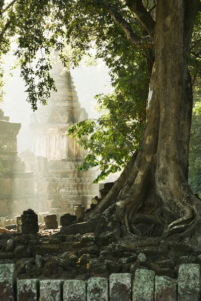 Templo Antigo Pagode Nascer Sol Grandes Árvores Crescendo Antiga Parede — Fotografia de Stock