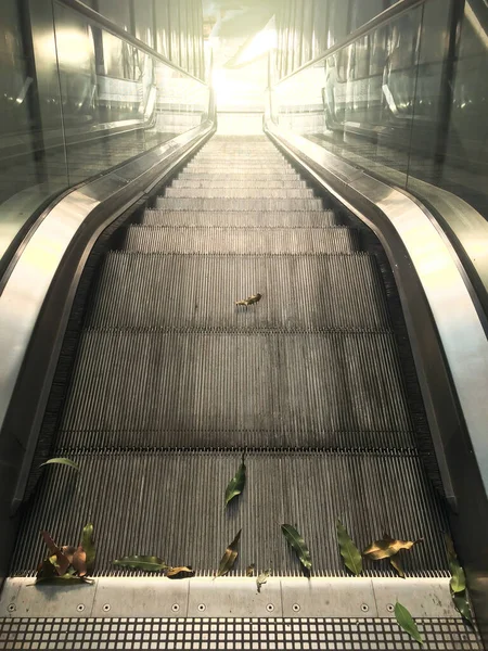 Eine Leere Rolltreppe Während Der Covid Pandemie Stürzt Blätter Auf — Stockfoto