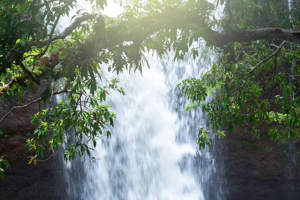 雨の朝に純粋な熱帯の滝 日の出は滝や緑の植物にジャングルを通して輝きます カオヤイ国立公園 手前の緑の枝に焦点を当てる — ストック写真