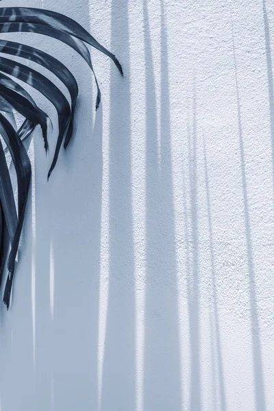 Αφηρημένη Σκιά Από Φύλλα Φοίνικα Λευκό Τσιμεντένιο Τοίχο Ριγέ Σκιά — Φωτογραφία Αρχείου