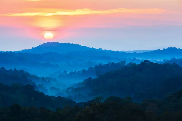 Paisaje Montañas Durante Amanecer Niebla Suave Mañana Cubre Bosques Pinos —  Fotos de Stock