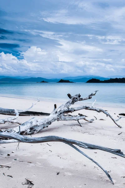 Zeegezicht Het Logboek Strand Met Tropische Eilanden Blauwe Zee Leeg — Stockfoto