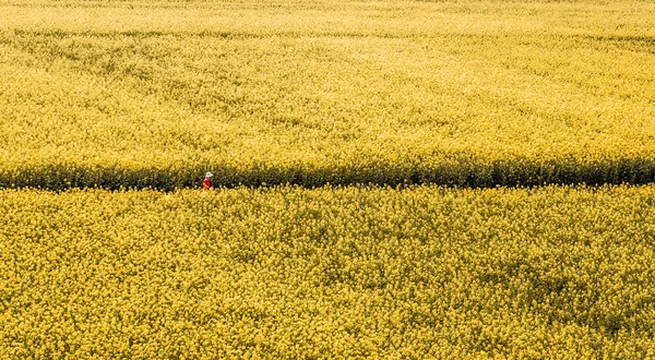 Luftaufnahme Landschaft Eines Mädchens Rotem Hemd Das Auf Der Landstraße — Stockfoto