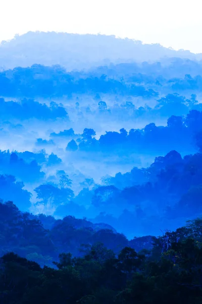 Пейзажі Блакитних Гір Ранковому Тумані Абстрактні Шари Гір Соснового Лісу — стокове фото