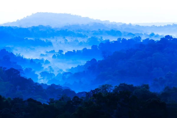 Paisaje Montañas Azules Niebla Mañana Capas Abstractas Montañas Bosques Pinos —  Fotos de Stock