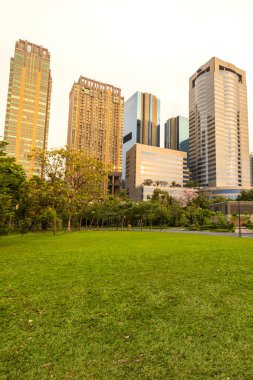 Günbatımında Chatuchak Park manzarası, arka planda Bangkok ufuk çizgisine karşı yeşil bir çimenlik. Tayland.