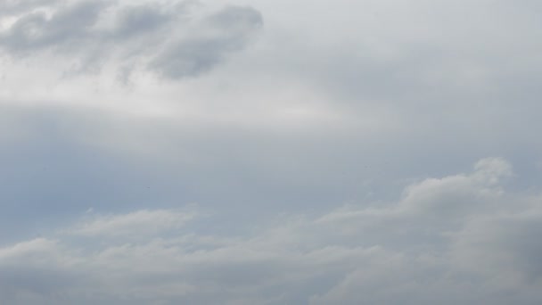 Avión volando a baja altitud aterrizando en un día nublado — Vídeos de Stock