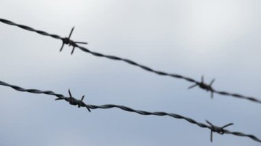 Bulutlu bir günde, dikenli tel