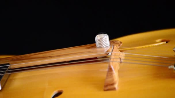 Détail de guitare électrique jazz classique tournant 