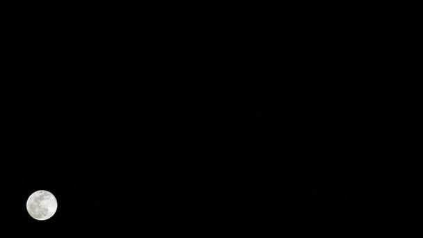 タイムラプスの夜を歩いていた満月 — ストック動画