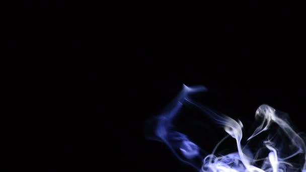 Στήλη και σκέλη του καπνού δικαιολογούν στο σωστό που κινούνται με αιολική — Αρχείο Βίντεο