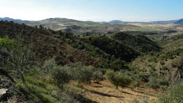 Paysage méditerranéen avec éoliennes énergie à l'horizon au coucher du soleil 