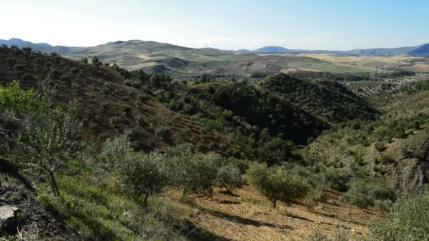 Énergie éolienne renouvelable à l'horizon 