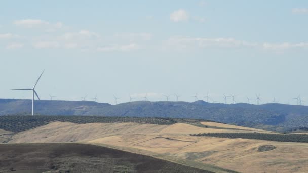 Energia das turbinas eólicas renovável no horizonte — Vídeo de Stock