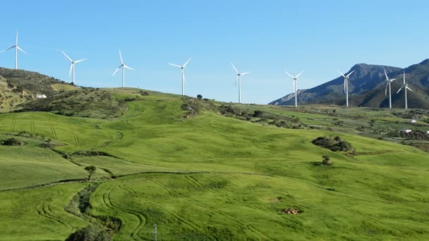 Turbine eoliche rinnovabili a campo verde — Video Stock