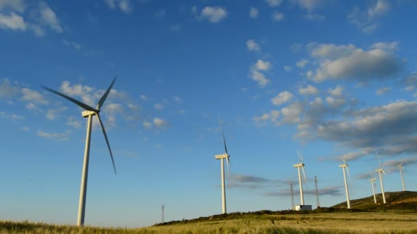 Wind turbines rotating in a field at sunset — Stock Video