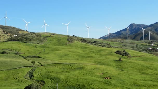 Возобновляемая энергия ветряных турбин на зеленом поле — стоковое видео