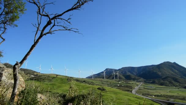 景观的风能涡轮机移动在绿色的田野一起道路交通在阳光灿烂的日子 — 图库视频影像