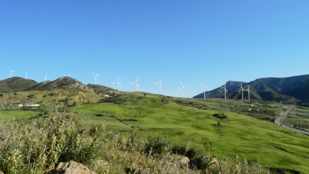 Landscape of wind turbines energy at sunny day — Stock Video