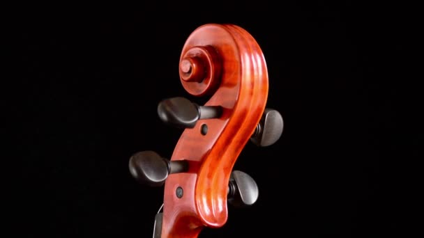 Scroll of violin or viola with pegs turning at black background — Stock Video